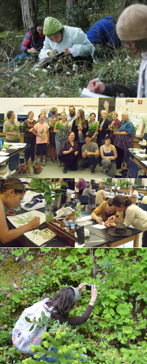 Vorobik Workshops Collage